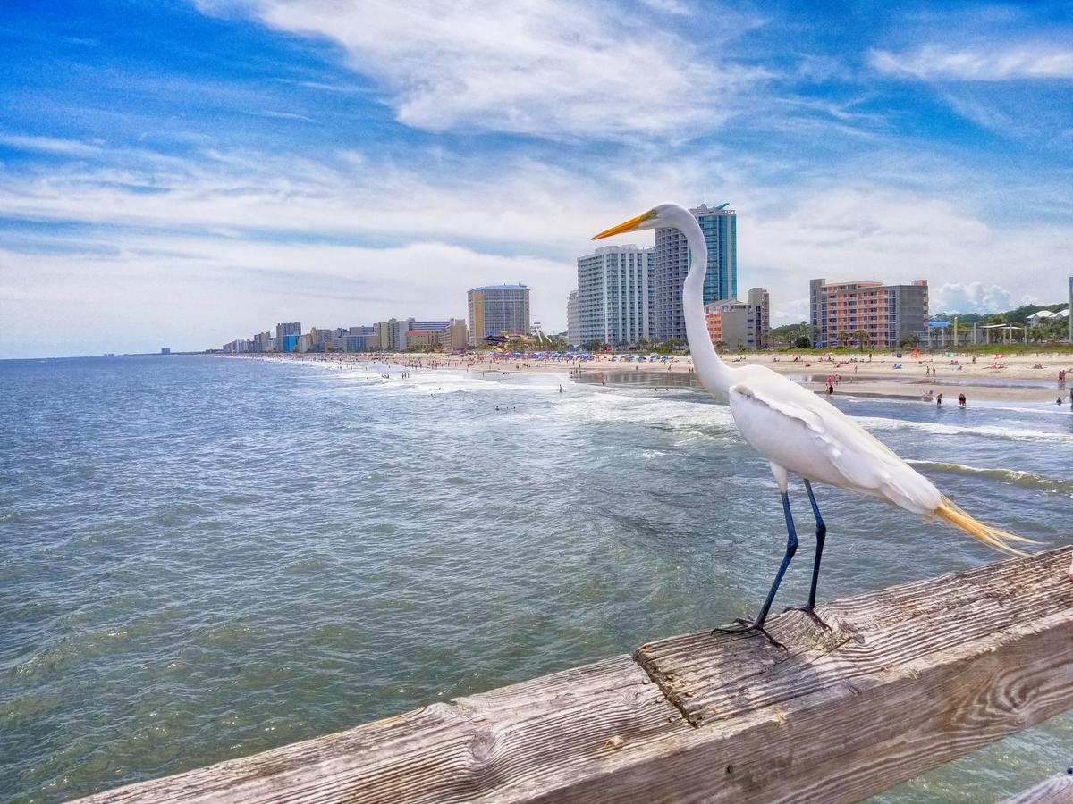 New Amazing Corneramazing Views Honeymoon Suite! Myrtle Beach Exteriér fotografie